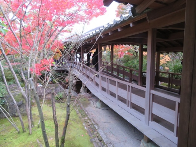 �n��L��_�D�É�