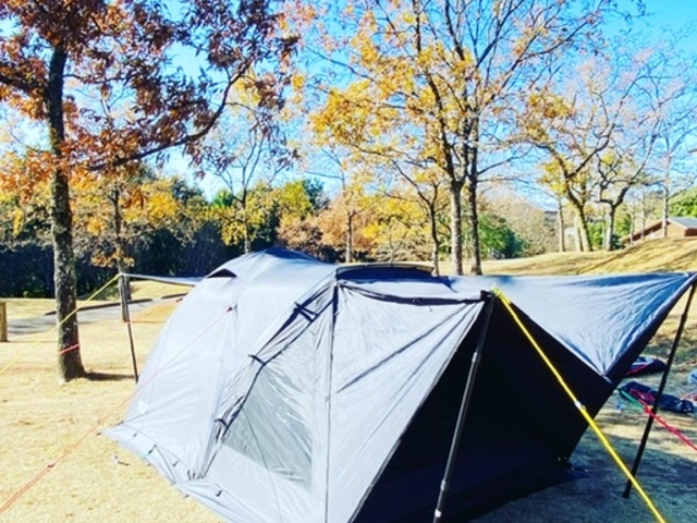 �V�e���g������_�G�R�E�p�[�N�_����