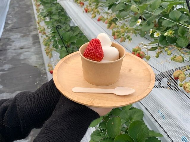 ._�܂�܃C�`�S��