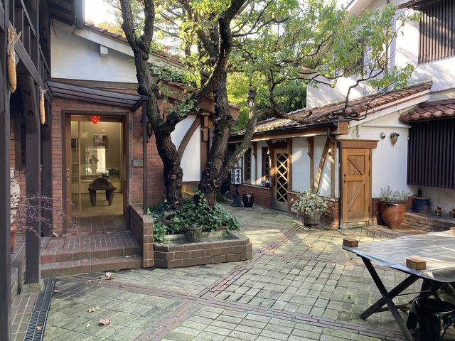 ������_������