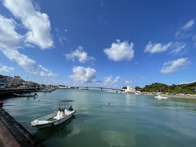 �V�C���ō��ł����B_DS natura