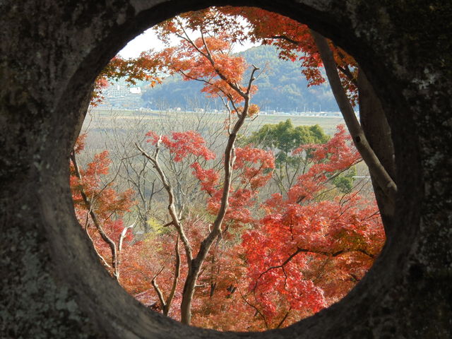 �������Δ肩��̒��߁@�G�ɂȂ�܂�_�A�T�q�r�[����R��R�����p��