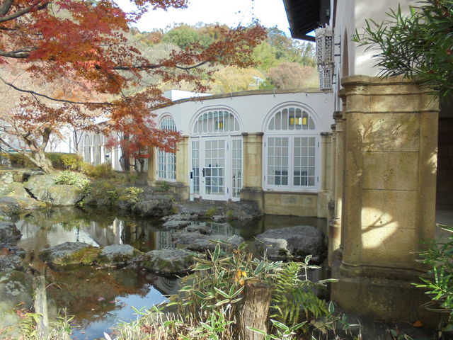 ��K�O����̒���_�A�T�q�r�[����R��R�����p��