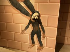 ނpp̃gbNA[g~[WAyւ̓eʐ^1