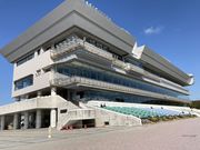 EbL[̐niI[p[Nj̓eʐ^8