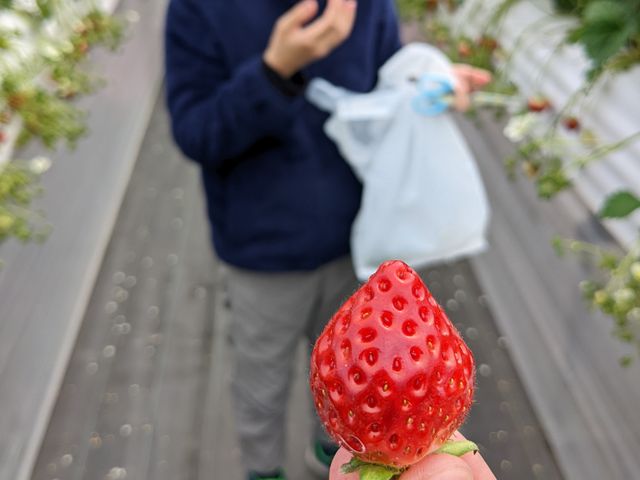 �^���ԂȊÂ�������_�ԍՂ������̒J