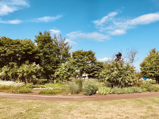 ���ю𑢉��ɂ���z���C�g�K�[�f�����y���݂܂����B10������܂ŁA���܂��܂Ȃ��Ԃ�����܂��I_�[����͔ȍL��i�z���C�g�K�[�f���j