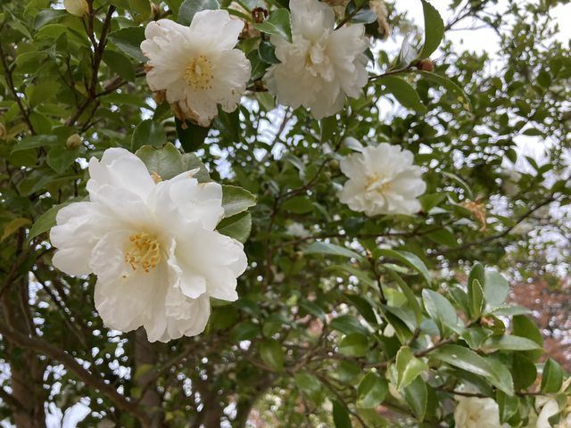 ςɉɍ炫قĂ܂_鐭