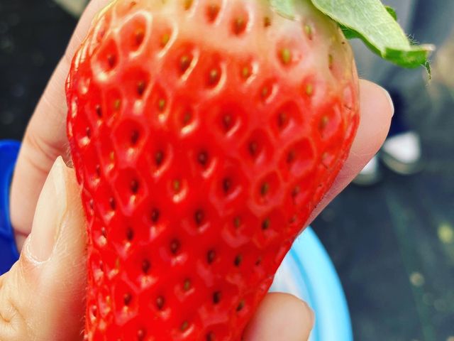 �Â��I�I_�͂�Ȃt�@�[��