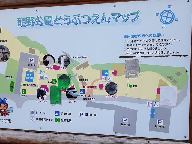 �n�}_�������������