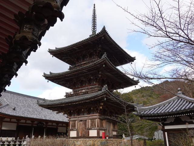 �ٍ㎛�O�d��_�ٍ㎛�O�d��