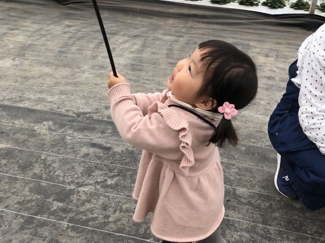 �������̑O�ŎM��_�V��̂���������ʐ^�� �܂邩����