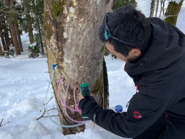 �K�C�h���񂪃h�����Ŏ��Ɍ����J���Ă�������Ƃ���_�������HOME HOME NIIGATA