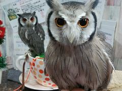 Ă邳̂ρ[@tNEJtFr܂ւ̓eʐ^2