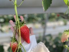 RRR̎RFUJIt[cp[Nւ̓eʐ^1