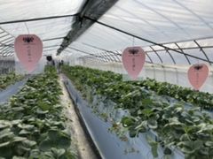 񂵂낤̃zeBL˂ւ̓eʐ^3