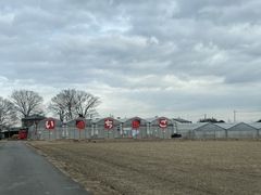 񂵂낤̃zeBL˂ւ̓eʐ^4