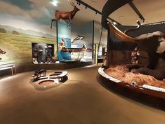 兵庫県立考古博物館のクチコミ一覧 - じゃらんnet
