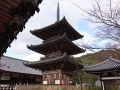 zin����ٍ̒㎛�O�d���ւ̓��e�ʐ^1