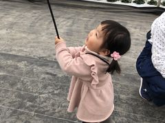 mio̓V̂ʐ^ ܂邩ւ̓eʐ^1