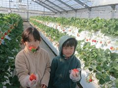 ҁ[̂ςς䕂ւ̓eʐ^1