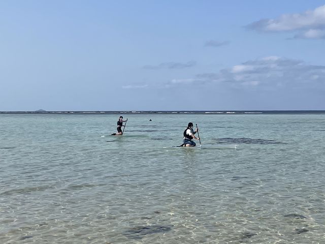 �������ȊC_Cheerful �{�Ó�