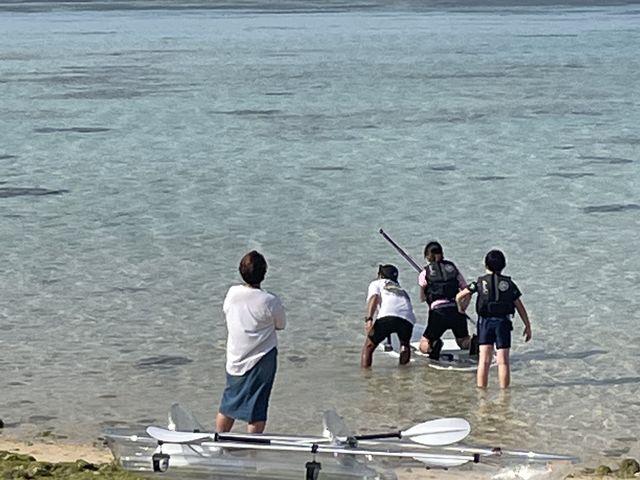 �e�؂ȑΉ�_Cheerful �{�Ó�