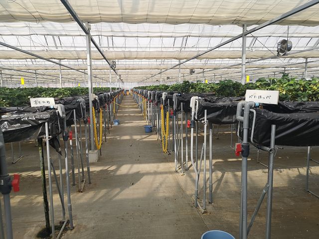 �����Ђ߂ƍg�ق���_�������̗��@�������_��