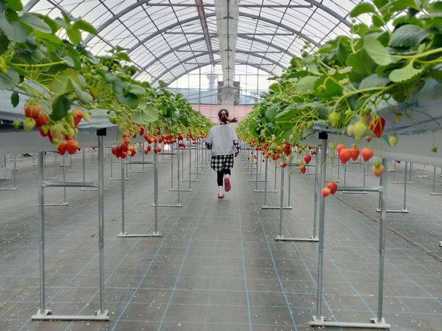 �q�������₷������_�������C�ӂ̂��������s���F�t�F�����t