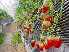 kanãXgx[t@[Γcւ̓eʐ^1