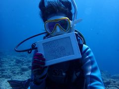 ^J̓ʓ_CuTCgւ̓eʐ^1