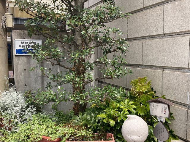 �J���R���H�[_�J���R���H�[