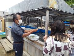 hisåCԂǂ{Bւ̓eʐ^1