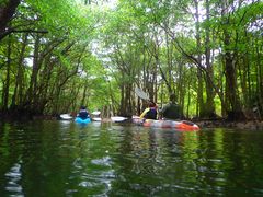 ݂̐\ ADVENTURE PiPiւ̓eʐ^1