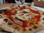 yosshy̑؃t@[̓eʐ^5