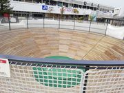 �����̂肳��̓V���w�O�L��R�t�t���̓��e�ʐ^3