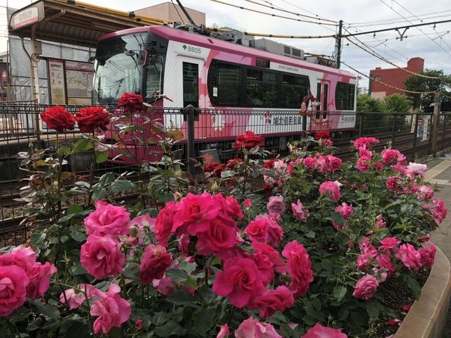 r쎩R@sdr2ځ@o_r쎩R