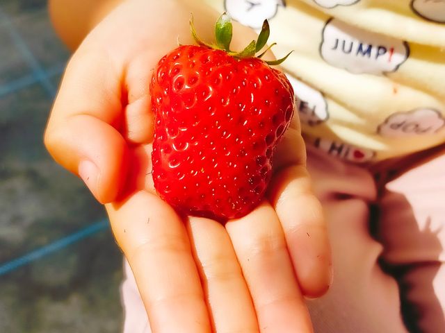 �q�ǂ����u�P�c�A�S�������v�Ɠ��ӂ��Ɍ����Ă��ꂽ�C�`�S���Â��Ă����������������ł��B_�R��Ԃǂ���������