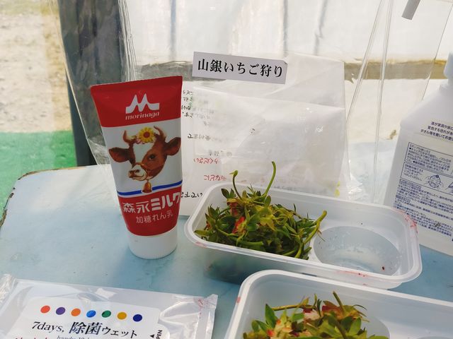 �ƂĂ��������������ł��I�I�����������܂ł����B_�R��Ԃǂ���������