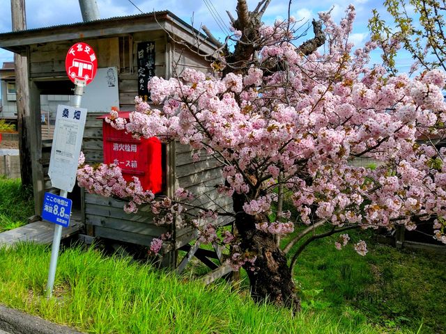 �K������w���񓒂��x�̍Ŋ���
�o�X��ł��B
�T�N�������J���Y��ł����B_�K������u���񓒂��v