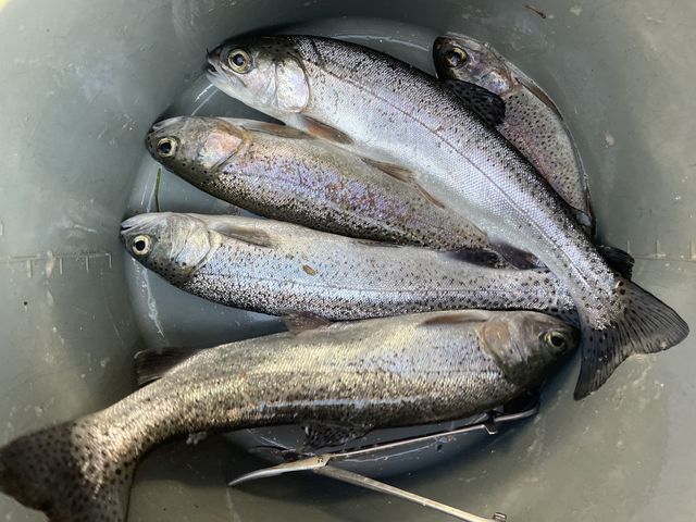 �H�׉���������싛_��ˍ��R�ޒr�@����