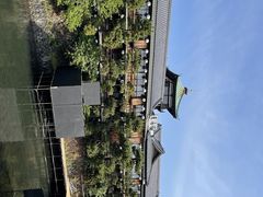 炳炳񂲂̓Cقւ̓eʐ^1