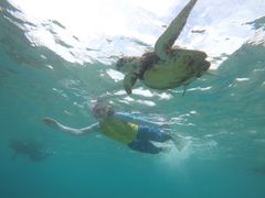 ohisCHURA{Óւ̓eʐ^1