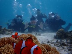 Ȃ̃}T[rXA|Ί_ւ̓eʐ^1