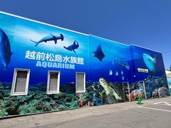kayo626さんの越前松島水族館への投稿写真1