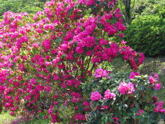 oreidon̂났̐X@O[sAւ̓eʐ^1