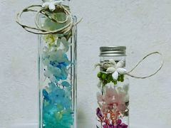 �Ȃ݂���܂����Flower Salon KACO�ւ̓��e�ʐ^1