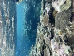 kaz����̐Ί_�}�j�A�ւ̓��e�ʐ^1