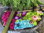 ����傤�܂�����̌��O���_�Ђ̓��e�ʐ^3