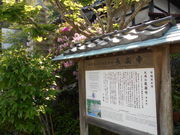 �g�V���[����̒��y���̓��e�ʐ^1